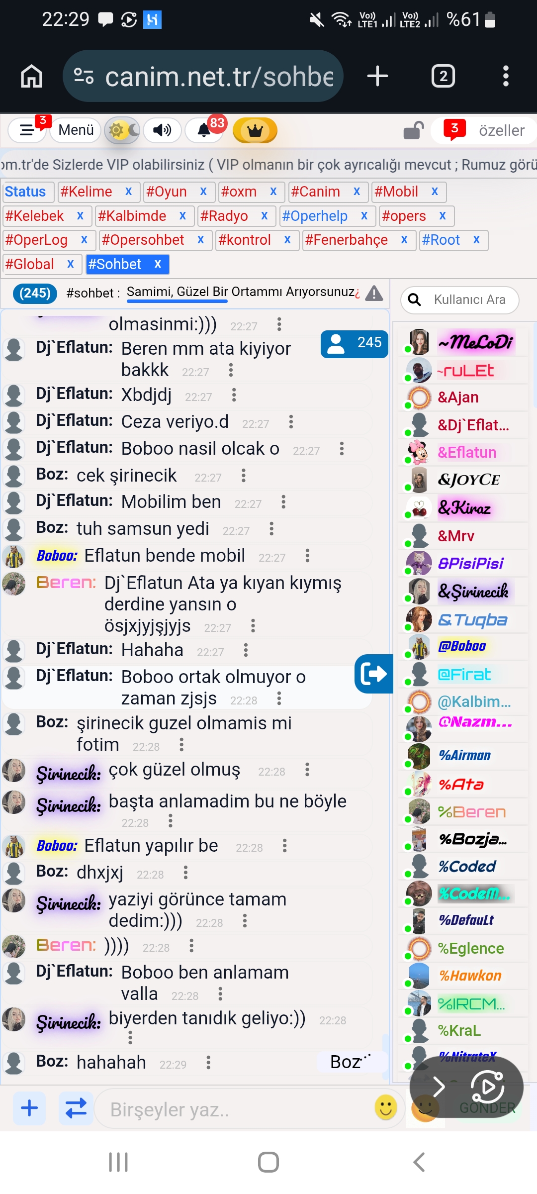 Açıklama